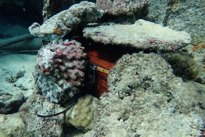 Private 4 Hours Reef Discovery Luxury Private Treasure Hunt in Bora Bora - Why this treasure hunt works better than a standard lagoon cruise
