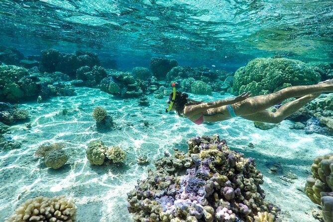 Private 4 Hours Reef Discovery Luxury Private Treasure Hunt in Bora Bora - Stop two: coral gardens and tropical fish