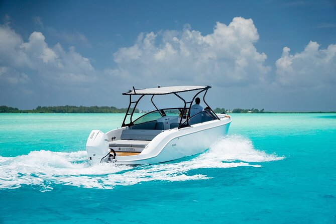 Private 4 Hours Reef Discovery Luxury Private Treasure Hunt in Bora Bora - Environmental care and the meaning of a private trip