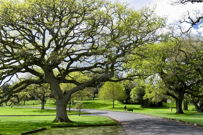 Private Auckland City Tour For Small Group in a luxury vehicle. - Devonport gives you a slower seaside pause