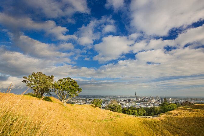 Private Auckland Luxury Tour - Karekare Falls and a short walk