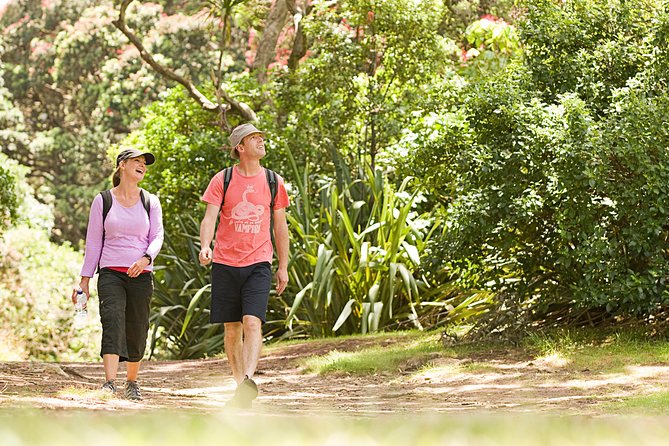 Private Auckland Luxury Tour - Tamaki Drive and Mission Bay