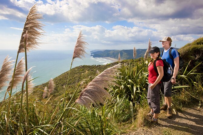 Private Auckland Luxury Tour - Mount Eden and the city from above