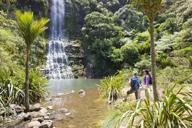 Private Auckland Luxury Tour - Piha Beach and Auckland’s black-sand coast