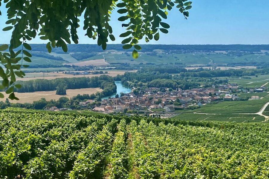 Private Champagne Ruinart, Moet Chandon VIP Tour by Mercedes - Hautvillers and the view over the Marne