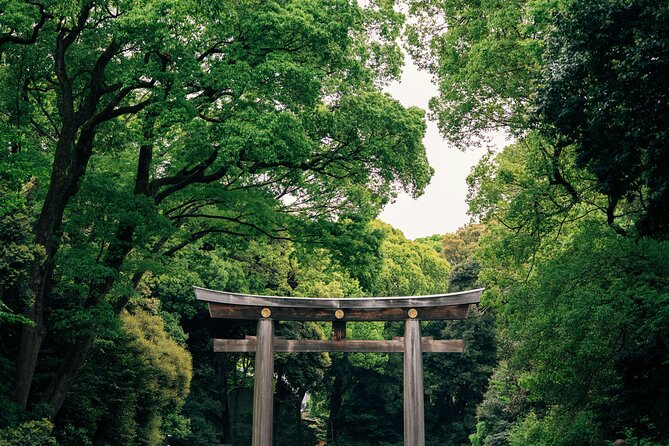 Private Custom Tokyo Tour VIP - Why a private car changes your Tokyo day
