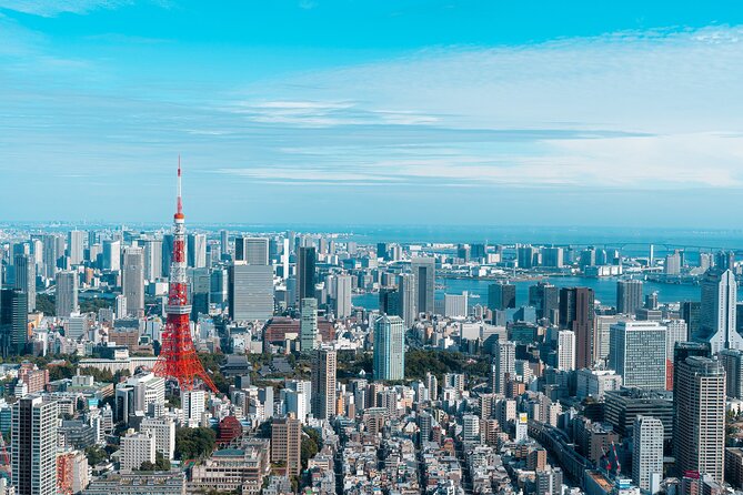 Private Custom Tokyo Tour VIP - Tsukiji, markets, and the value of local explanation