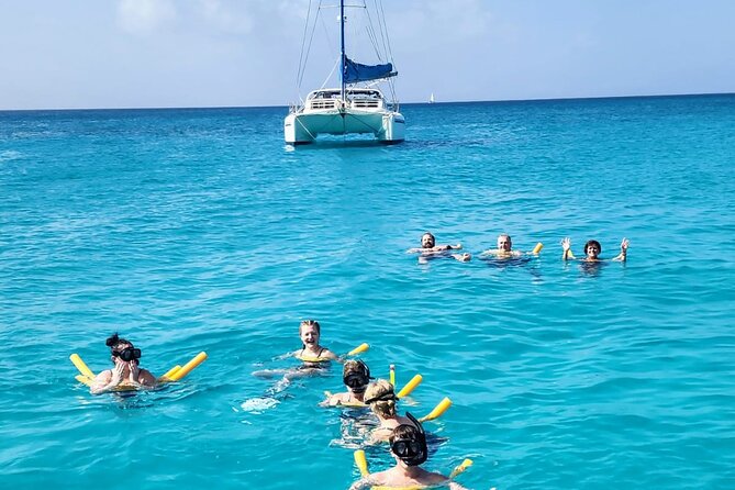 Private Full-Day Luxury Sailing Catamaran Charter in Sint Maarten - Little Bay’s unusual underwater sights