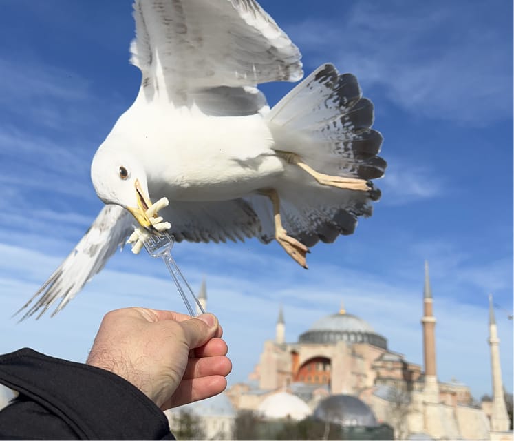 Private Guided Istanbul Luxury Tour (Tickets and Transfers) - A private way to tackle Istanbul’s busiest sights