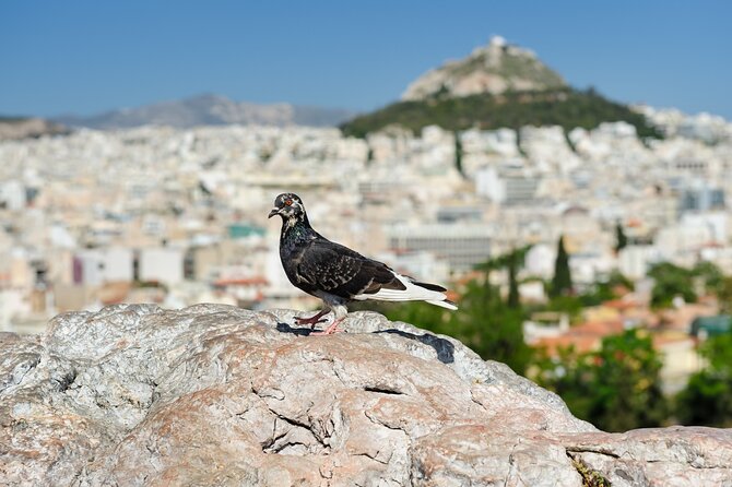 Private Luxury Biblical Tour: Apostle Paul in Athens & Corinth - Areopagus Hill offers the strongest biblical connection