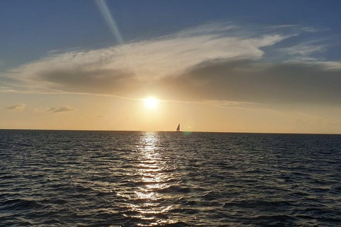 Private Luxury Catamaran - Saona or Catalina island - Is $1,990 Good Value?