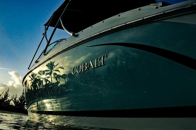 Private, luxury, custom charters to Stingray City, Snorkeling & More - Is $609.95 a good value?