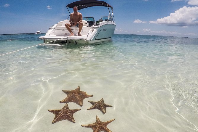 Private, luxury, custom charters to Stingray City, Snorkeling & More - Stingray City: the hour that defines the trip