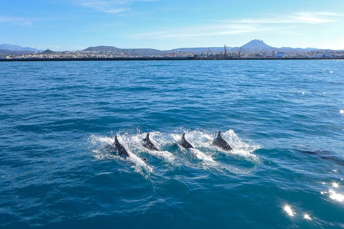 Private luxury Escape Sailing, Snorkel and Lunch Cruise - A crew that keeps the day personal
