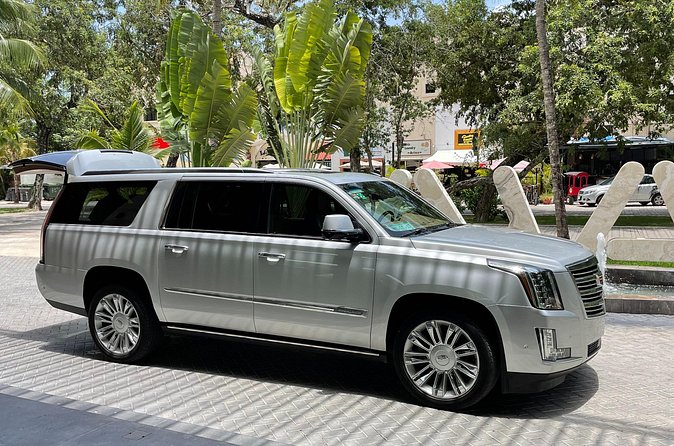 Private Luxury Transfer from Airport to Playa del Carmen - The drivers and personal service