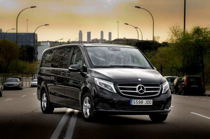 Private Luxury Van Departure from Copenhagen to Copenhagen Port - The Mercedes V Class and luggage question
