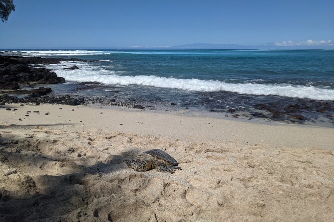 Private Luxury Van with Driver to Big Island Destinations of Your Choice - Pololu Valley Lookout in 15 minutes