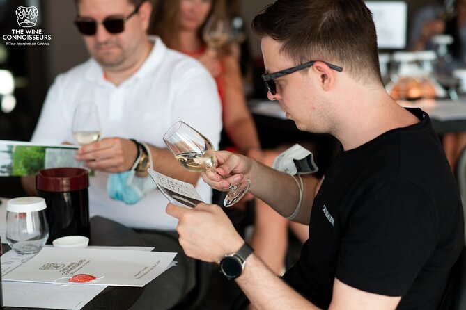Private Luxury wine tour in Ancient Nemea and vineyards. - A private drive in a luxury minivan