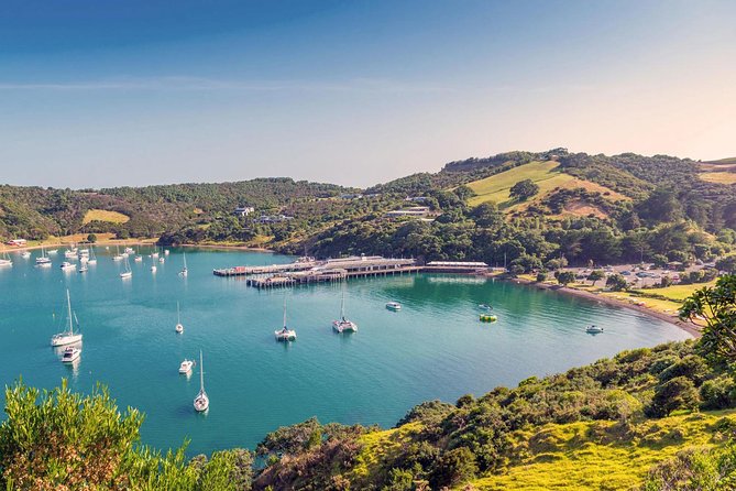 Private Tour - Waiheke Island Luxury Experience - Key points at a glance