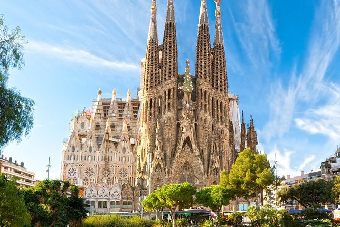 Private Transfer: Cruise Port to Barcelona by Luxury Van - What the luxury vans mean in practice