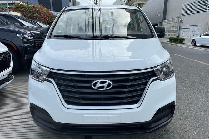 Private transfer from Puntacana airport to hotels-luxury services - Meeting your driver after landing