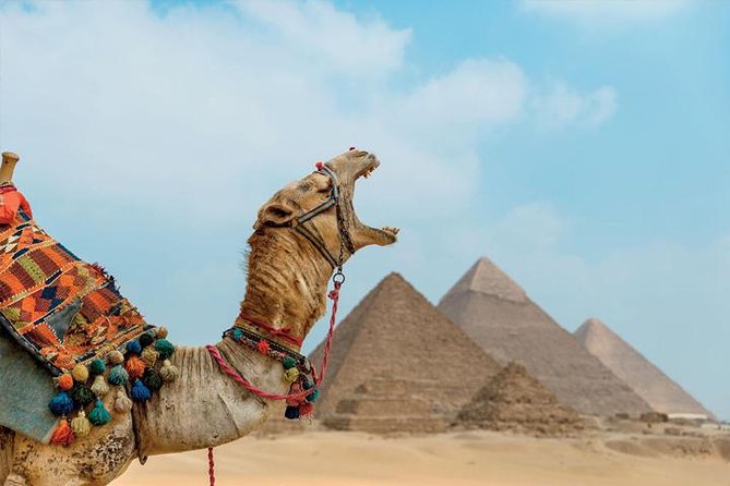 Private ViP all-inclusive Giza Pyramids,Sphinx,Inside Pyramid - Who should book this experience