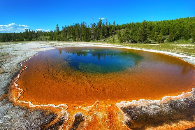 Private VIP Boutique Yellowstone Day Tour from Gardiner MT - Norris Geyser Basin, an optional opening act