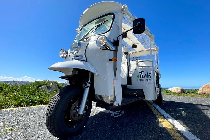 Private VIP Tour in Tuk Tuk Cadiz - Beaches, bridge views, and the Cádiz shipyards