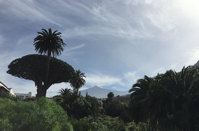 Private VIP Tour Tenerife Magic Circle - Masca village and the pirate story