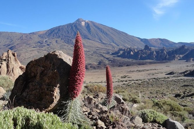 Private VIP Tour Tenerife Magic Circle - Teide National Park and the high volcanic country