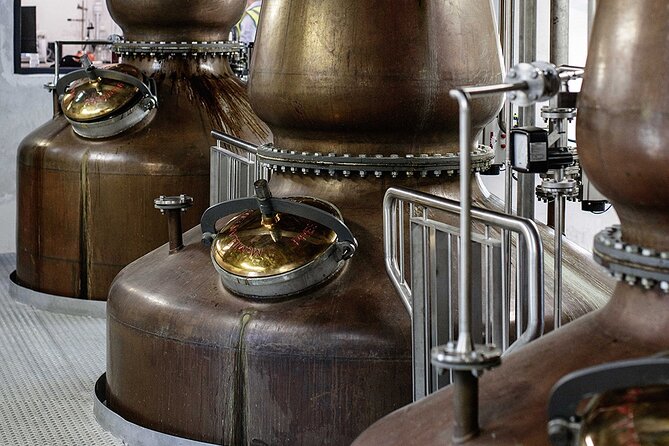 Private VIP Whiskey Tour from Dublin with Slane Castle Distillery - What past experiences suggest about the guide style