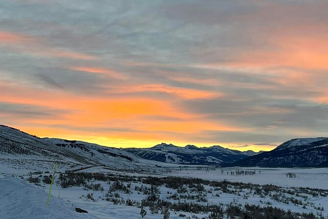 Private/VIP Wildlife Winter Safari of Yellowstone - A private day with Jack or Jackson