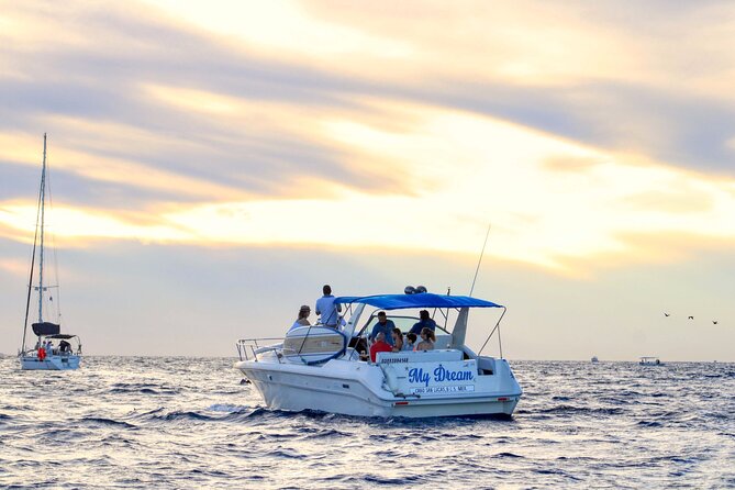 Private Whale Watching on Luxury Yacht in Cabo San Lucas - What is included, and what is not