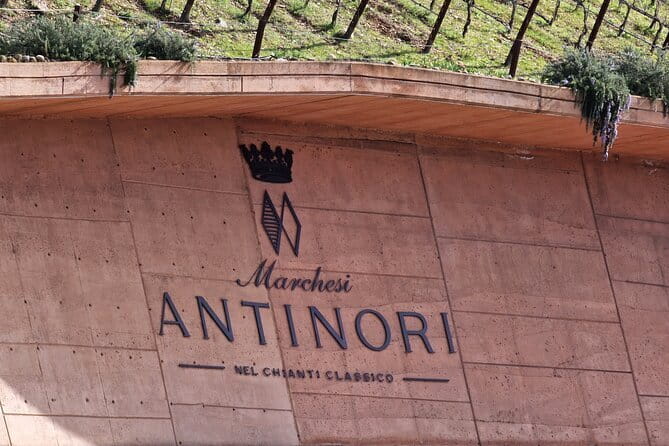 PRIVATE WINE TOUR TUSCANY Chianti Wineries, Expert English driver - Poggio Amorelli, the food-and-wine centerpiece