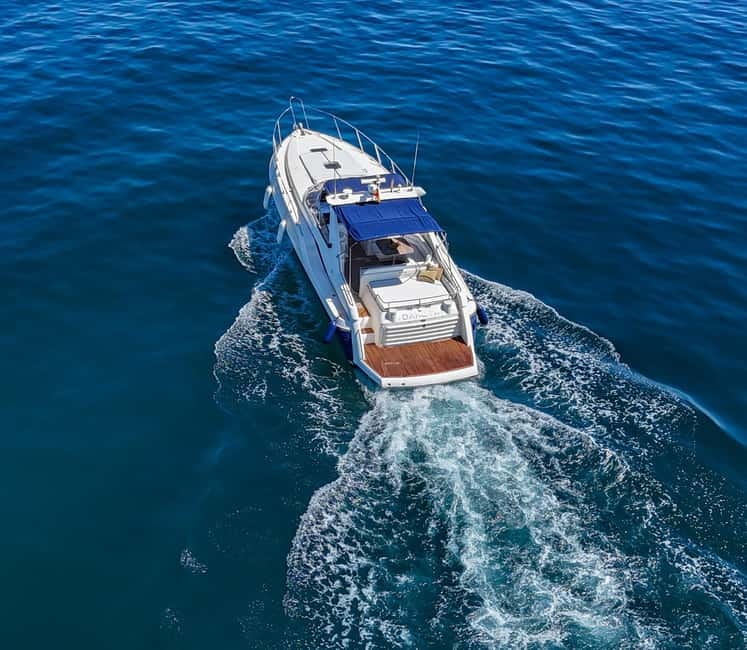 Puerto Banus: Private Luxury Yacht Charter - Thirty minutes searching for dolphins