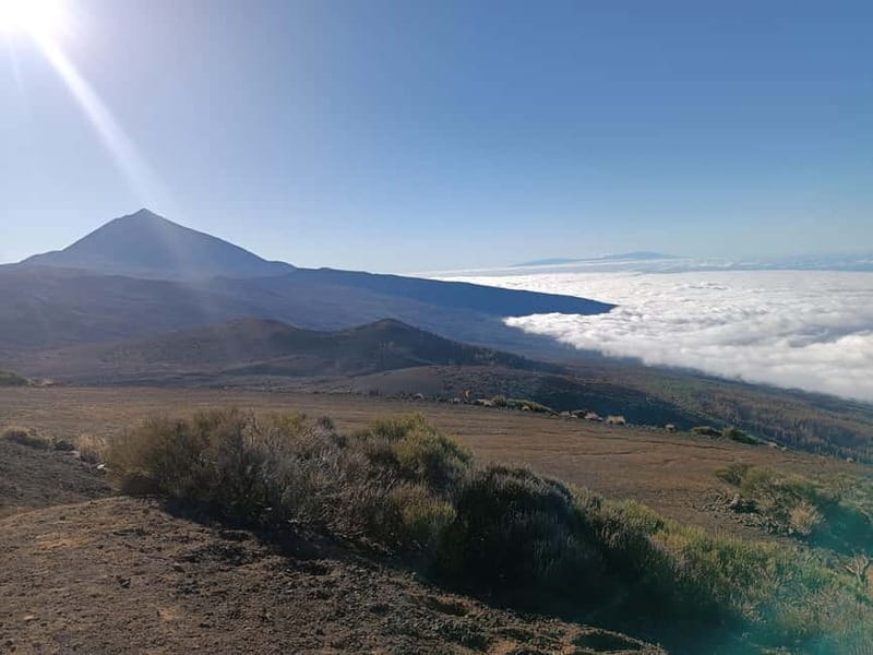 Puerto Cruz: VIP Teide Sunset & Stars, Guachiche Lunch+Cava - Is $112 a fair price?