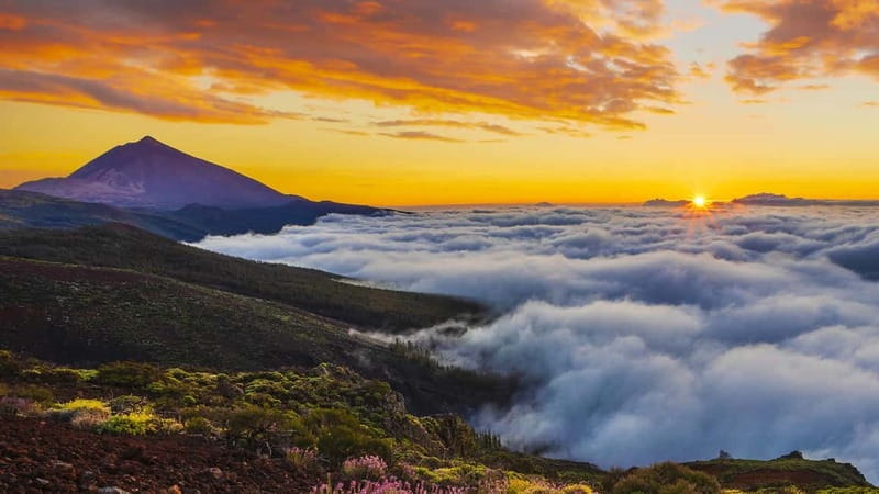 Puerto Cruz: VIP Teide Sunset & Stars, Guachiche Lunch+Cava - El Portillo and the move from sunset to stars