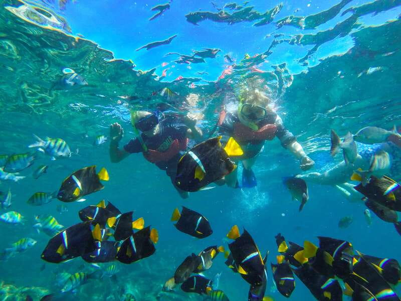 Puerto Vallarta: Luxury Day Sailing Tour of Bay of Banderas - The first 75 minutes under sail