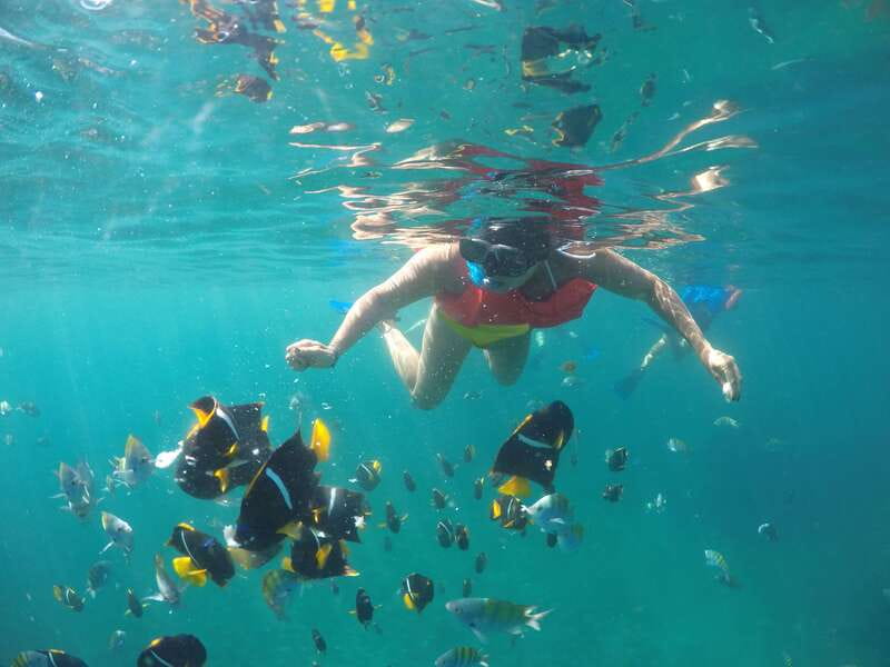 Puerto Vallarta: Luxury Yacht Tour with Lunch and Open Bar - Lunch, drinks, and the ride home