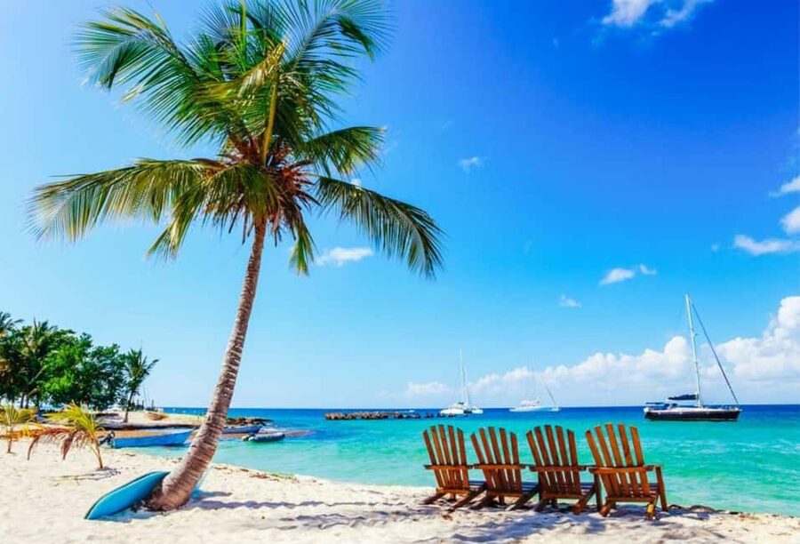Punta Cana - Santo Domingo: Saona Island VIP Catamaran Tour - Why Saona Island makes such a strong day trip