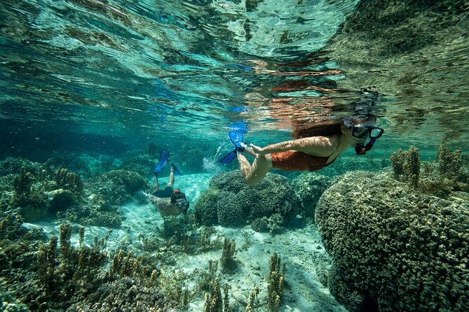 Reef Discovery Luxury Private Snorkeling Lagoon Tour - Couples, families, and mixed-ability groups