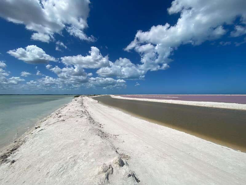 Rio Lagartos and Las Coloradas: Safari Flamingo Luxury - Who should book this Río Lagartos outing?