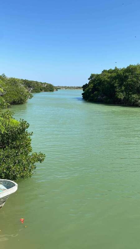 Rio Lagartos and Las Coloradas: Safari Flamingo Luxury - Bird watching with guides who know the reserve