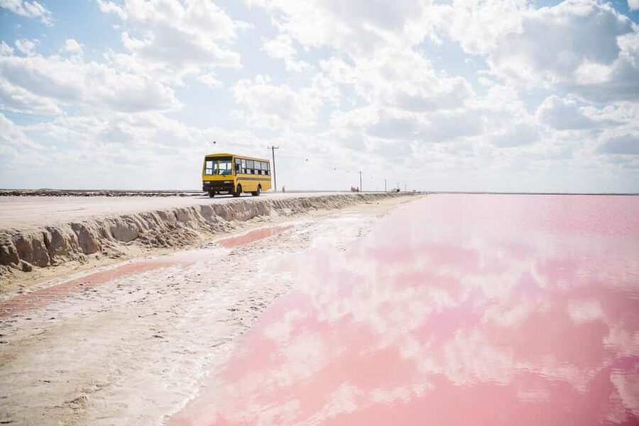 Rio Lagartos and Las Coloradas: Safari Flamingo Luxury - What makes the Las Coloradas pink lagoons different