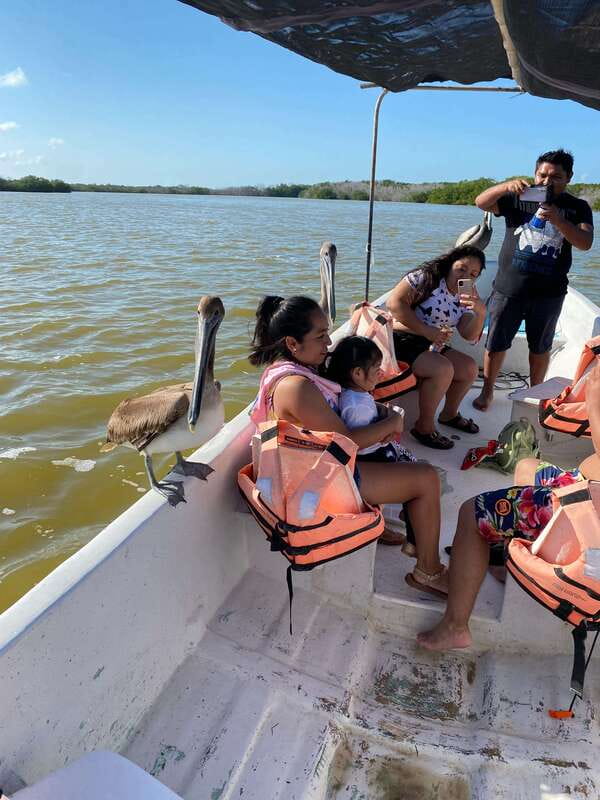 Rio Lagartos and Las Coloradas: Safari Flamingo Luxury - Is 2,300 MXN good value for a private group?