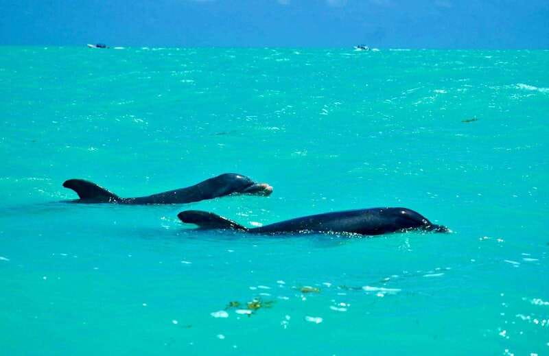 Rio Lagartos and Las Coloradas: Safari Flamingo Luxury - Timing, comfort, and practical details