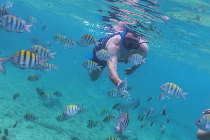 Riviera Maya Luxury Snorkeling Cruise with Lunch and Drinks - Open bar and the real mood onboard
