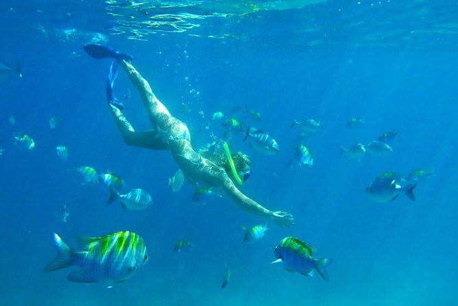 Riviera Maya Luxury Snorkeling Cruise with Lunch and Drinks - What the $139 price really buys