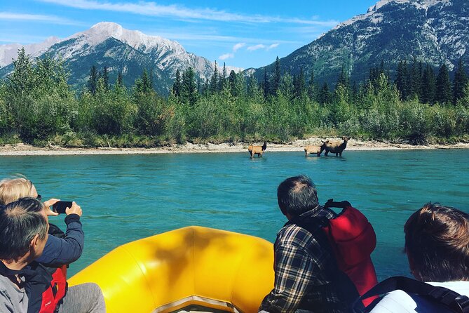 Rocky mountain - VIP Experience - Private Boat - Meeting at Canmore Public Boat Launch