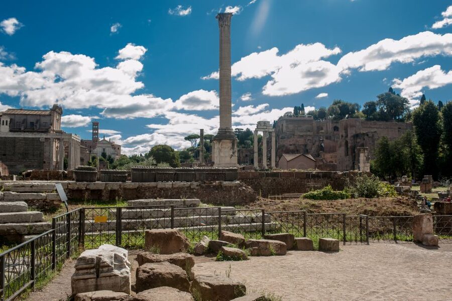Rome: Colosseum Arena, Roman Forum & Palatine Hill VIP Tour - Palatine Hill adds the best views